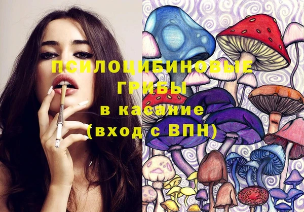 стаф Пересвет