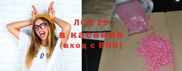 стаф Пересвет