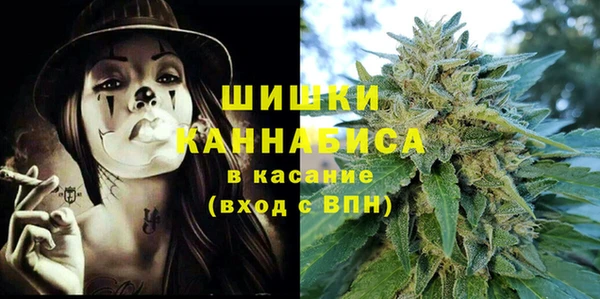 ГАЛЛЮЦИНОГЕННЫЕ ГРИБЫ Пестово