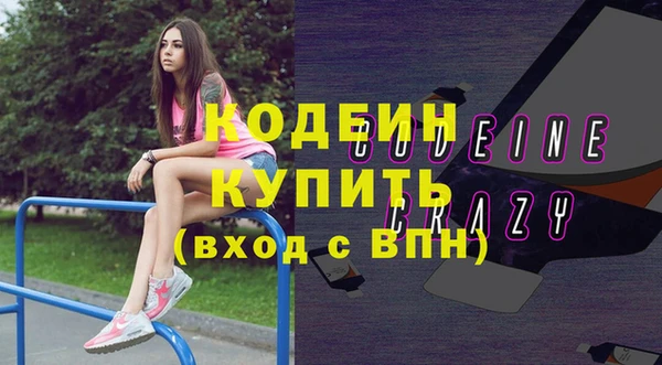 стаф Пересвет