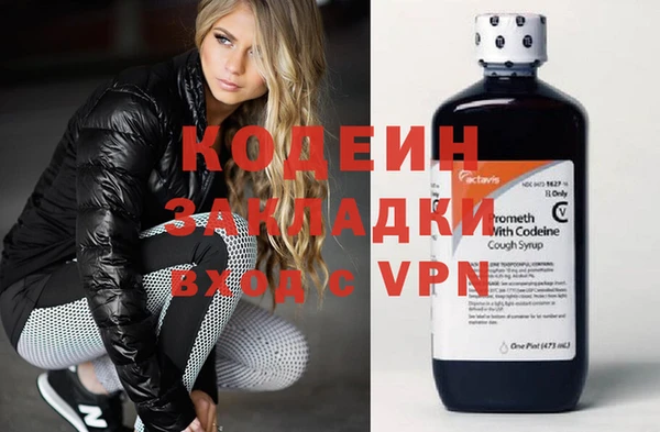 стаф Пересвет