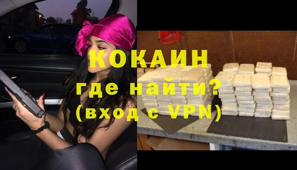 ГАЛЛЮЦИНОГЕННЫЕ ГРИБЫ Пестово