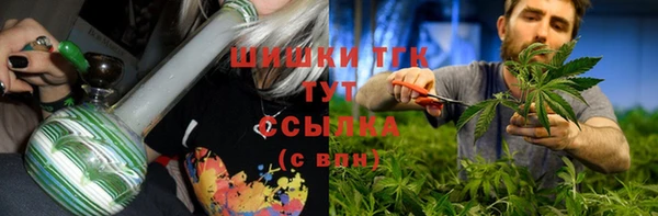 дурь Болохово